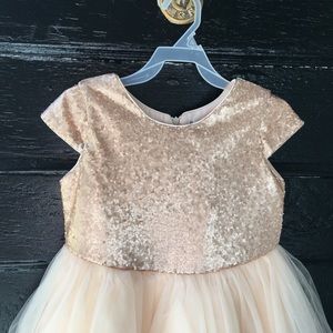 Little girls sequin and tulle dress